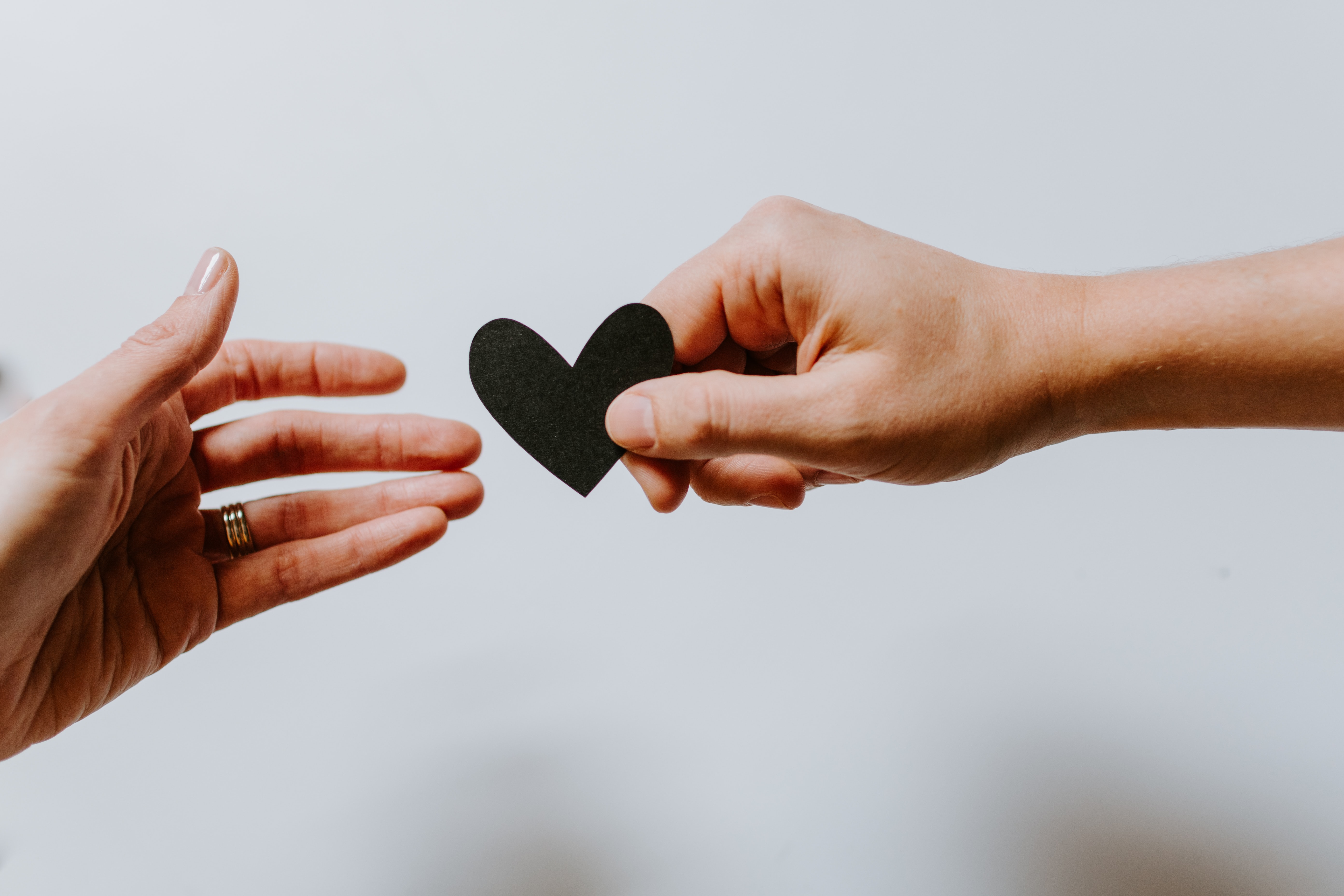 The Rise and Rise of "Give a Little" Websites