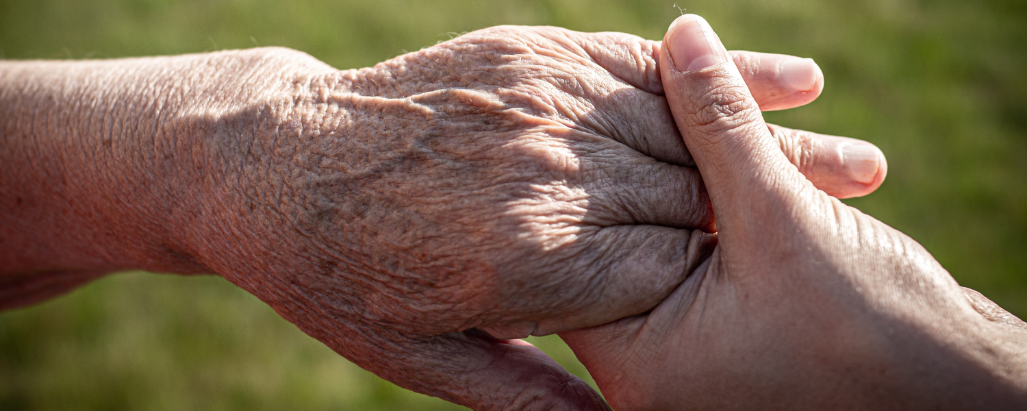 A Family’s Loss, an Industry’s Lesson: Why We Can’t Afford to Forget Bridgecorp