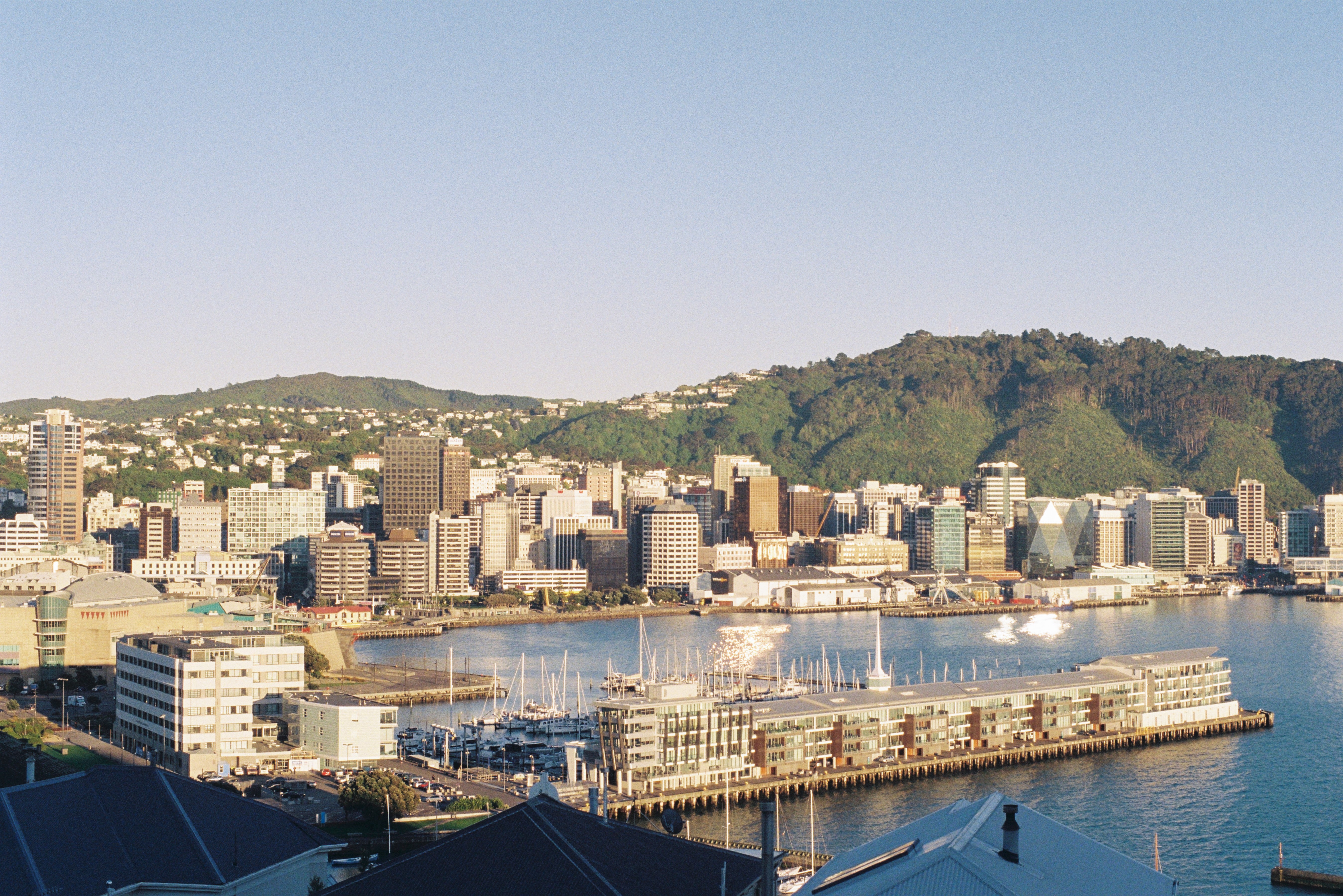 An Update on Wellington Property Prices