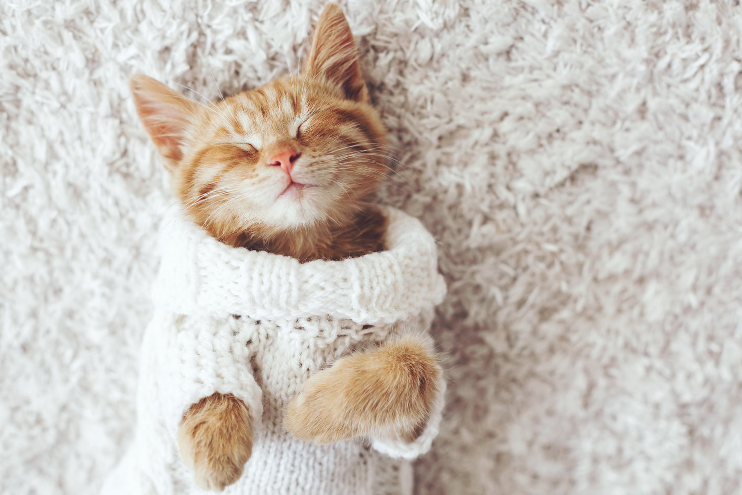 ANZ Wants to Warm Your Home … Interest Free