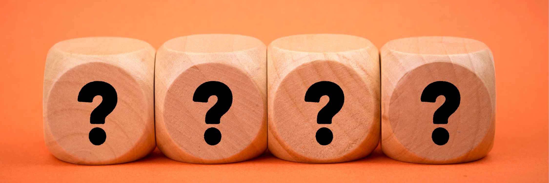 They did what?? The Guess Who Game answers revealed